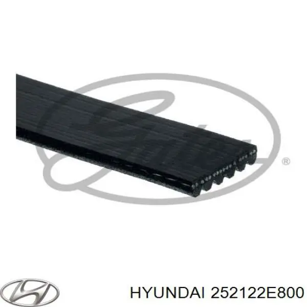 Correia dos conjuntos de transmissão Hyundai/Kia 252122E800 preço, a partir de 48,13 USD