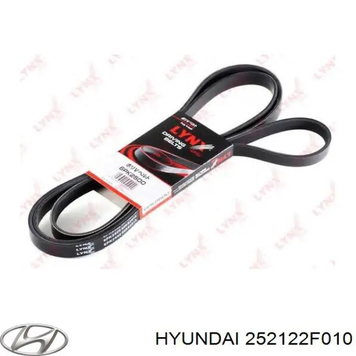 Compre 252122F010 Hyundai/Kia Correia dos conjuntos de transmissão