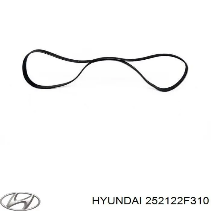 Compre 252122F310 Hyundai/Kia Correia dos conjuntos de transmissão