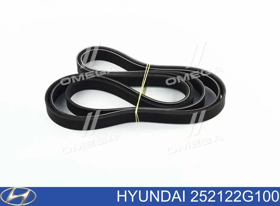 Correia dos conjuntos de transmissão Hyundai/Kia 252122G100 preço, a partir de 32,81 USD