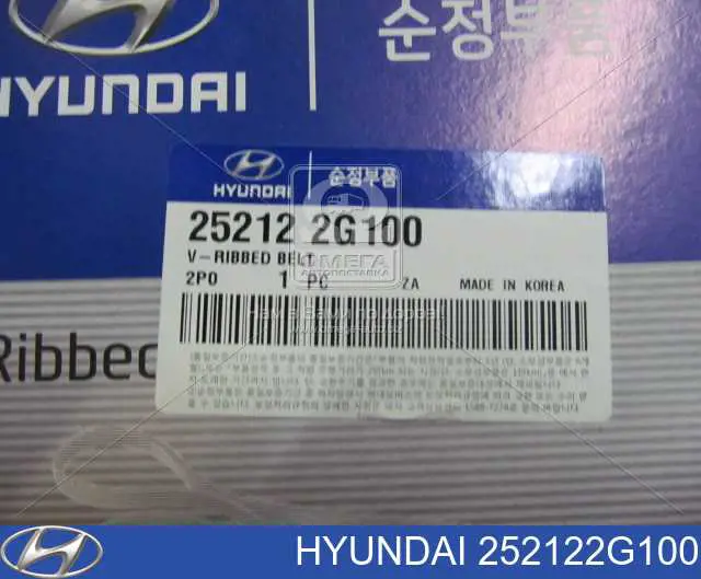 Compre 252122G100 Hyundai/Kia Correia dos conjuntos de transmissão