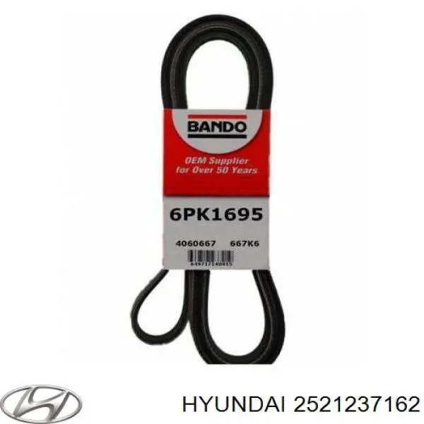 2521237162 Hyundai/Kia Correia dos conjuntos de transmissão