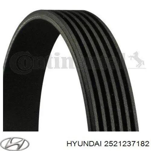 2521237182 Hyundai/Kia Correia dos conjuntos de transmissão