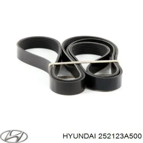 Compre 252123A500 Hyundai/Kia Correia dos conjuntos de transmissão