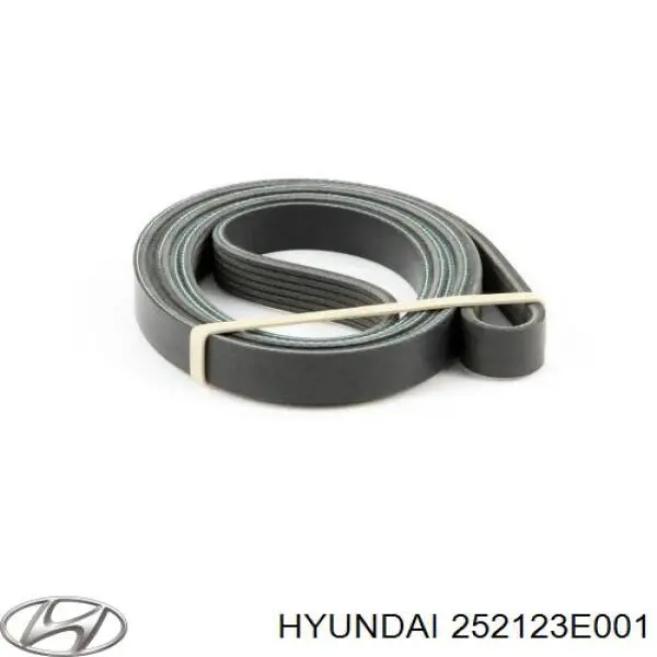 252123E001 Hyundai/Kia Correia dos conjuntos de transmissão