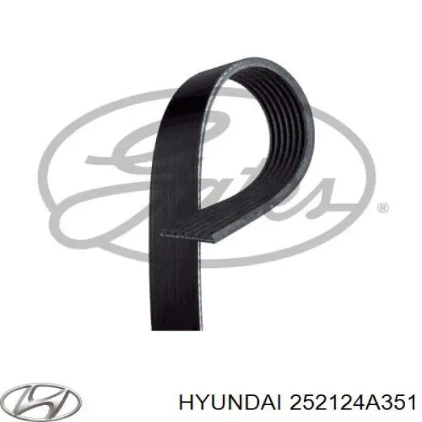 Correia dos conjuntos de transmissão 252124A351 Hyundai/Kia