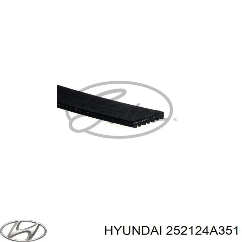  Hyundai/Kia 252124A800