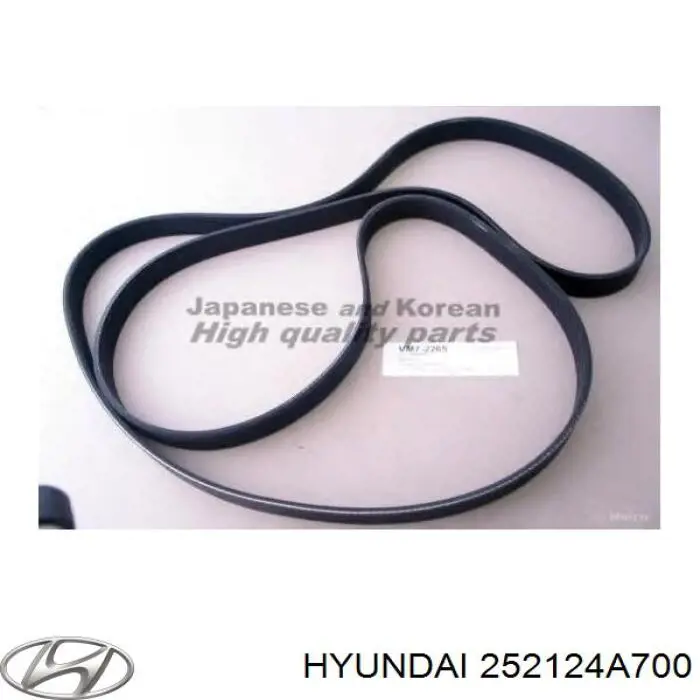 252124A700 Hyundai/Kia Correia dos conjuntos de transmissão