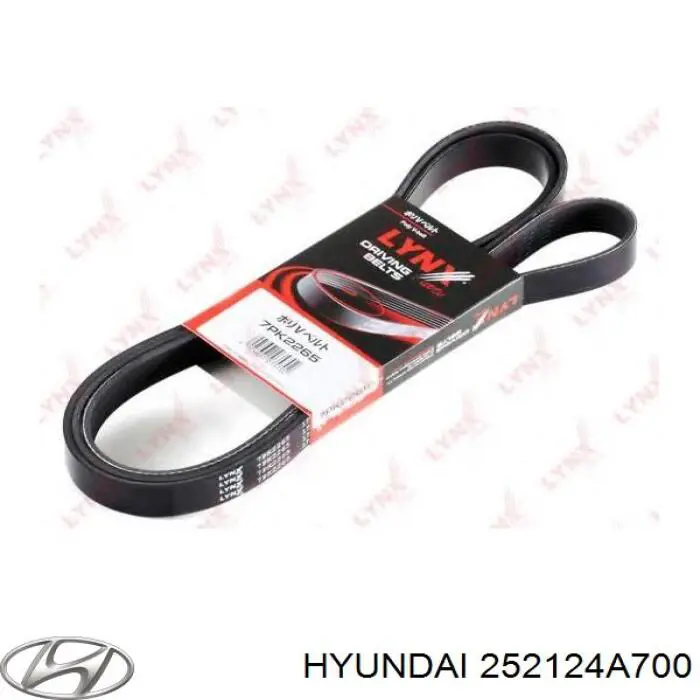 Correia dos conjuntos de transmissão Hyundai/Kia 252124A700 preço, a partir de 35,88 USD