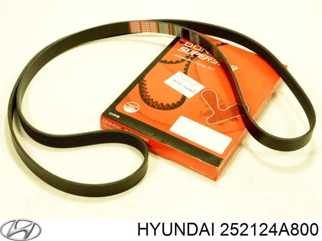 Compre 252124A800 Hyundai/Kia Correia dos conjuntos de transmissão