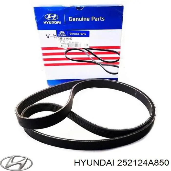 Compre 252124A850 Hyundai/Kia Correia dos conjuntos de transmissão
