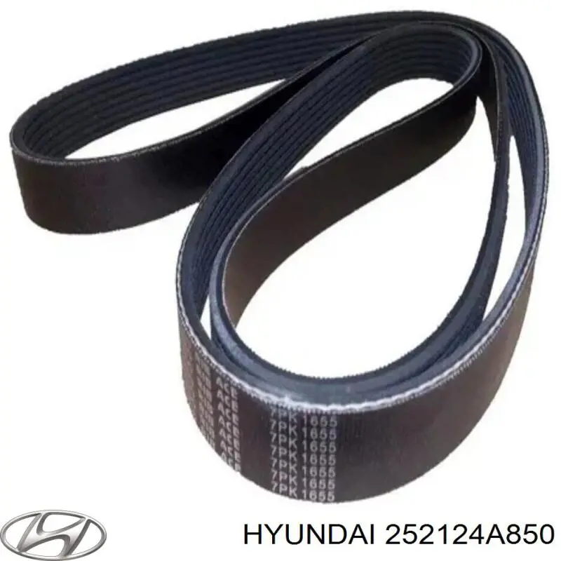 Correia dos conjuntos de transmissão 252124A850 Hyundai/Kia