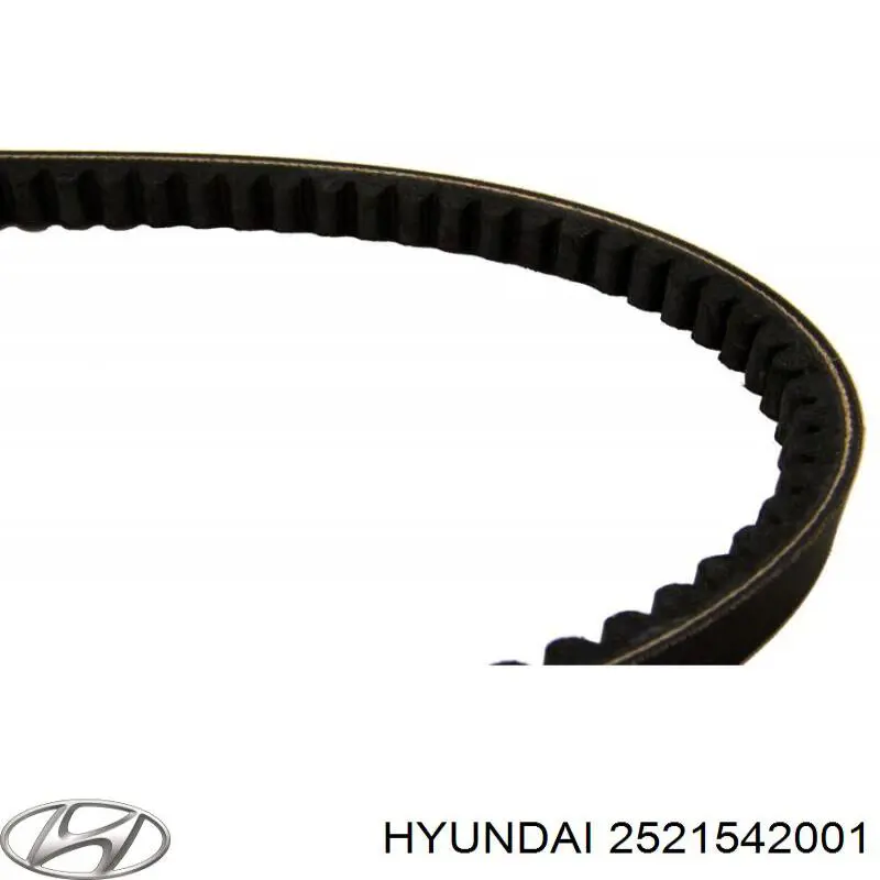 Compre 2521542001 Hyundai/Kia Correia dos conjuntos de transmissão