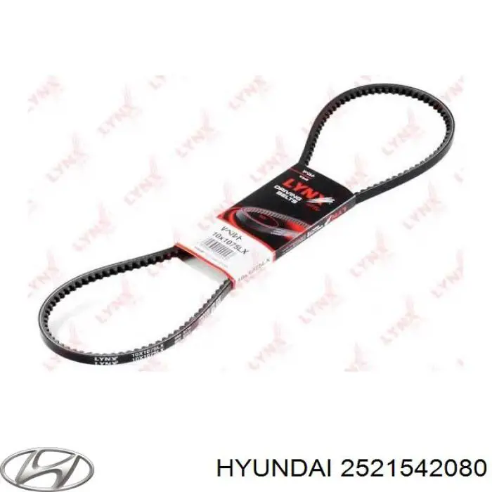 Correia dos conjuntos de transmissão 2521542081 Hyundai/Kia