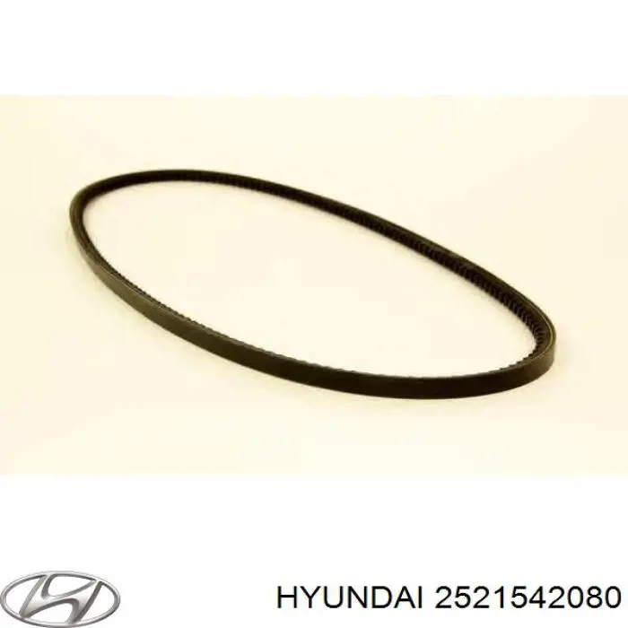 Correia dos conjuntos de transmissão 2521542080 Hyundai/Kia
