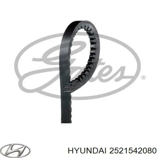 Correia dos conjuntos de transmissão Hyundai/Kia S2521542082 preço, a partir de 11,75 USD