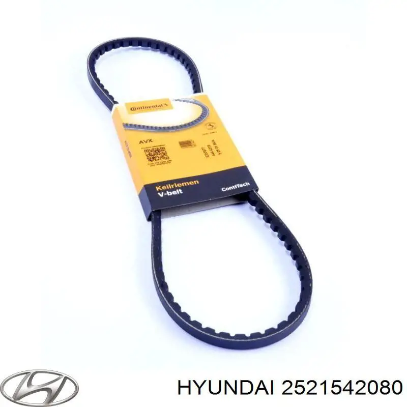 Hyundai/Kia 2521542080