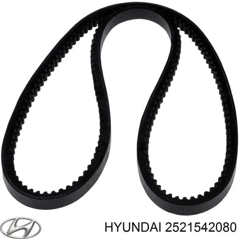 2521542080 Hyundai/Kia Correia dos conjuntos de transmissão