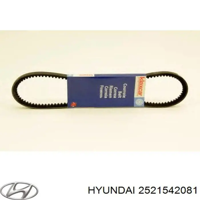Compre 2521542081 Hyundai/Kia Correia dos conjuntos de transmissão