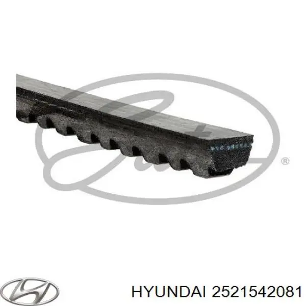 Correia dos conjuntos de transmissão 2521542081 Hyundai/Kia