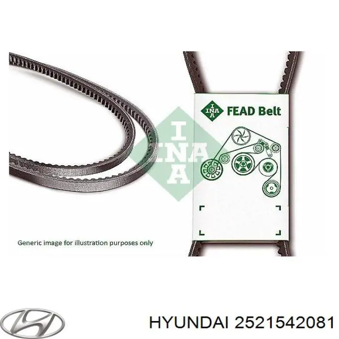 2521542081 Hyundai/Kia Correia dos conjuntos de transmissão