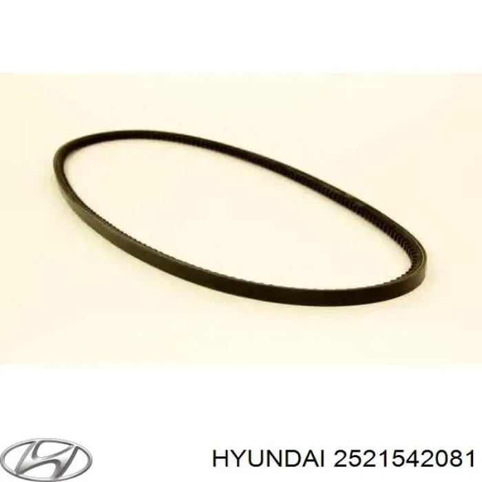 Correia dos conjuntos de transmissão Hyundai/Kia 2521542081 preço, a partir de 11,75 USD