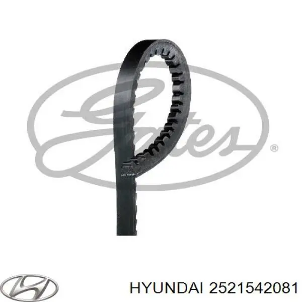 Correia dos conjuntos de transmissão Hyundai/Kia 2521542081 preço, a partir de 11,75 USD