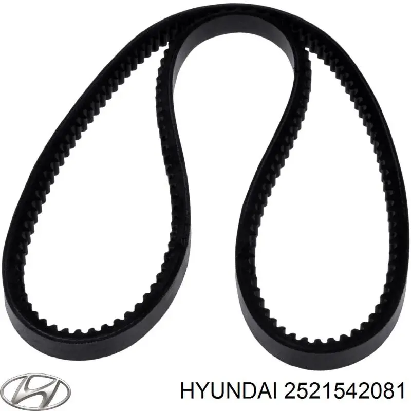 2521542081 Hyundai/Kia Correia dos conjuntos de transmissão