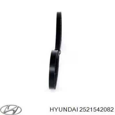Correia dos conjuntos de transmissão S2521542082 Hyundai/Kia