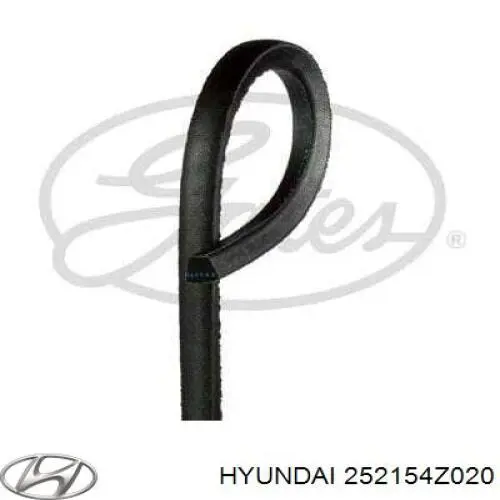 252154Z020 Hyundai/Kia Correia dos conjuntos de transmissão