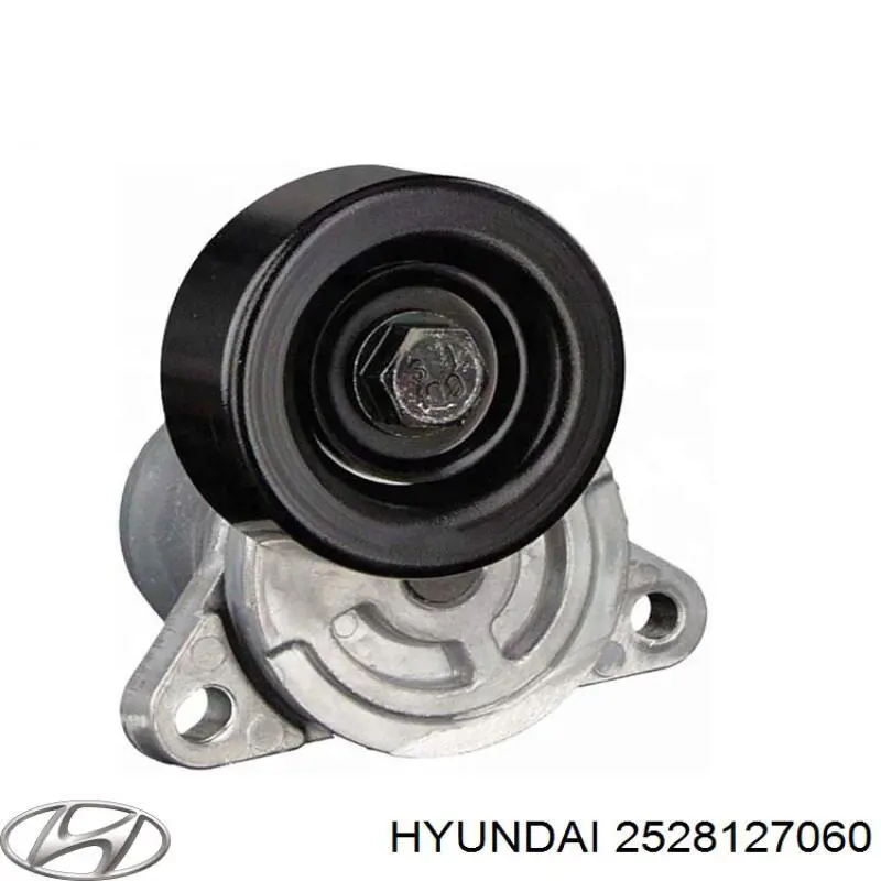 2528127060 Hyundai/Kia Reguladora de tensão da correia de transmissão