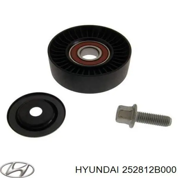 252812B000 Hyundai/Kia Reguladora de tensão da correia de transmissão