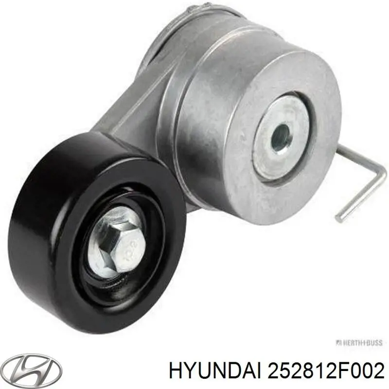 252812F002 Hyundai/Kia Reguladora de tensão da correia de transmissão