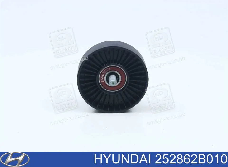252862B010 Hyundai/Kia Rolo parasita da correia de transmissão
