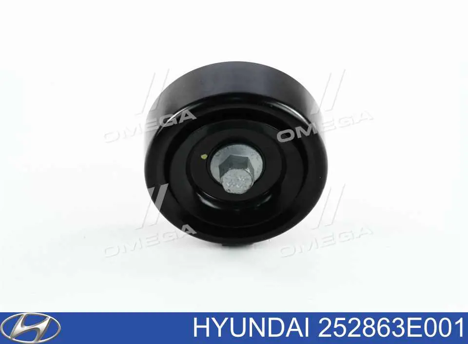 252863E001 Hyundai/Kia Rolo parasita da correia de transmissão