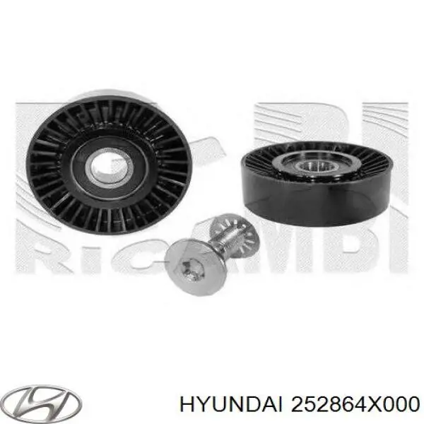 252864X000 Hyundai/Kia Rolo parasita da correia de transmissão
