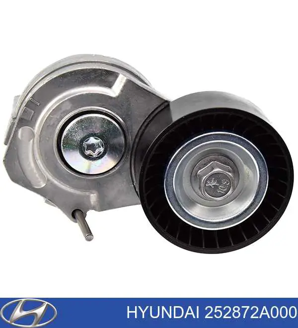252872A000 Hyundai/Kia Rolo parasita da correia de transmissão