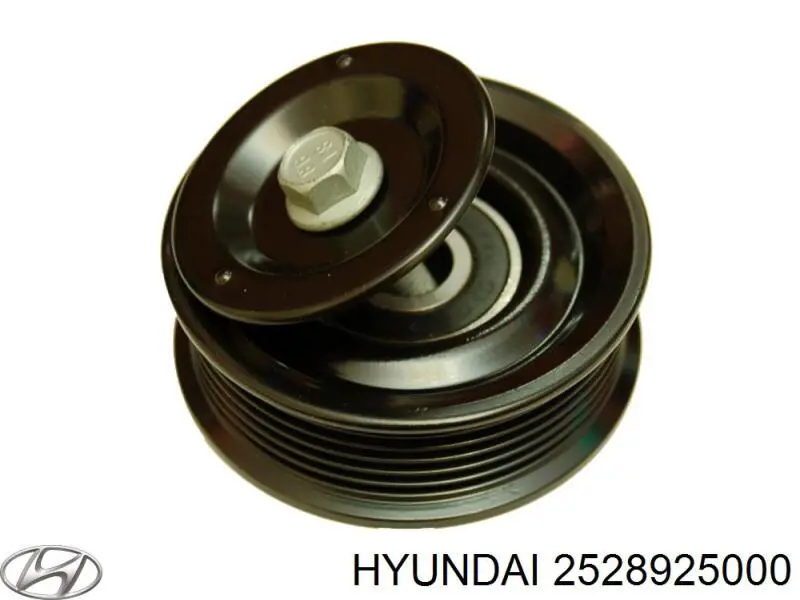 2528925000 Hyundai/Kia Rolo parasita da correia de transmissão