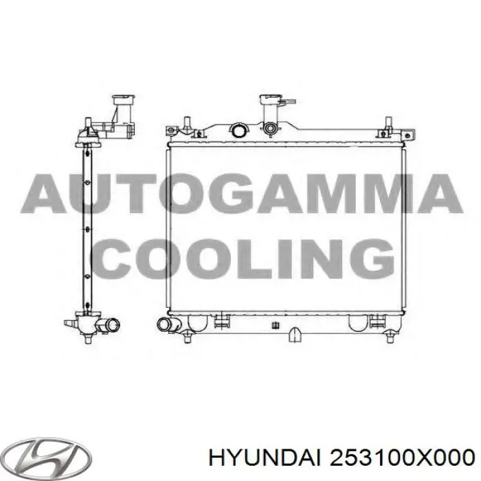 Compre 253100X000 Hyundai/Kia Radiador de esfriamento de motor