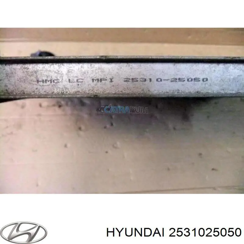 Compre 2531025050 Hyundai/Kia Radiador de esfriamento de motor