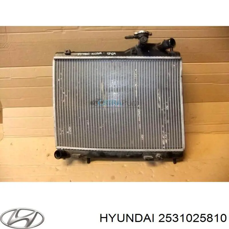 Compre 2531025810 Hyundai/Kia Radiador de esfriamento de motor