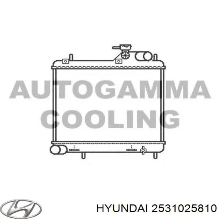 Compre 2531025810 Hyundai/Kia Radiador de esfriamento de motor