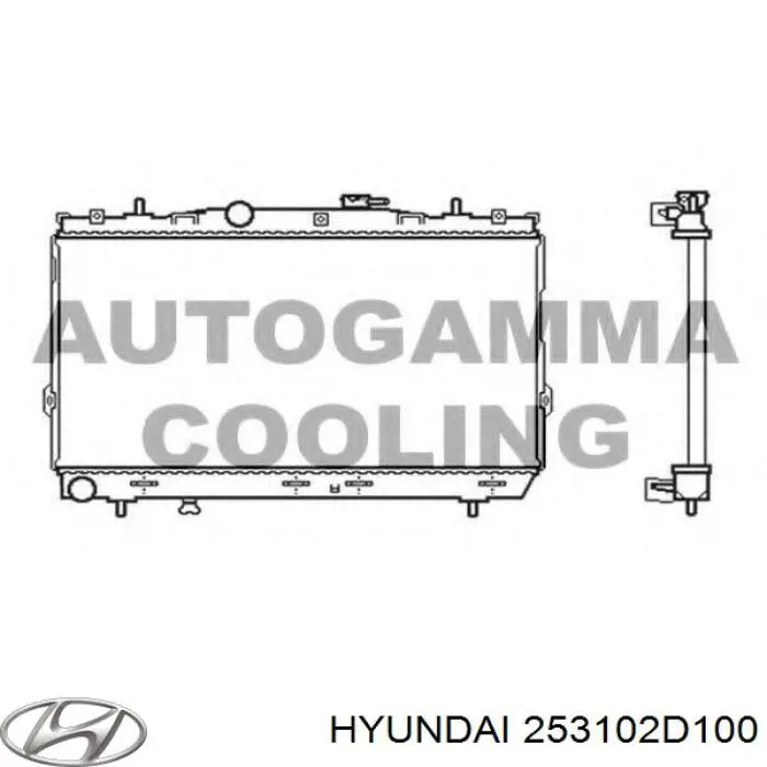 Compre 253102D100 Hyundai/Kia Radiador de esfriamento de motor