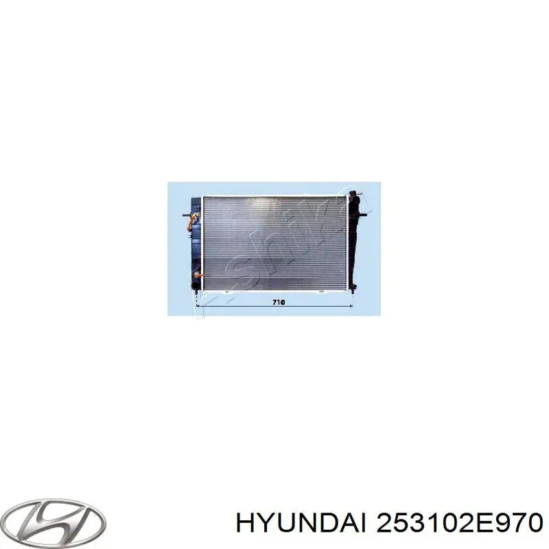 Compre 253102E960 Hyundai/Kia Radiador de esfriamento de motor