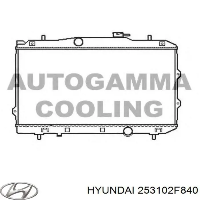 253102F840 Hyundai/Kia Radiador de esfriamento de motor