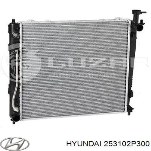 Compre 253102P300 Hyundai/Kia Radiador de esfriamento de motor