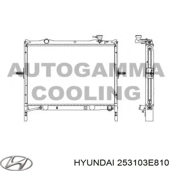 Compre 253103E810 Hyundai/Kia Radiador de esfriamento de motor