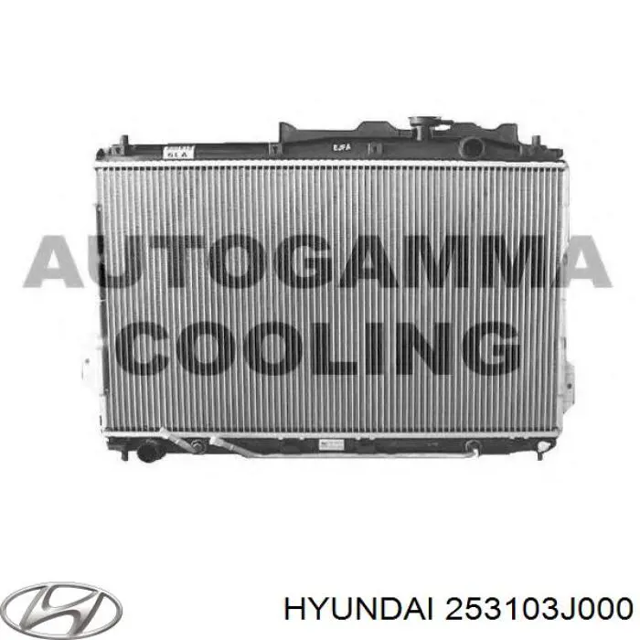 Compre 253103J000 Hyundai/Kia Radiador de esfriamento de motor
