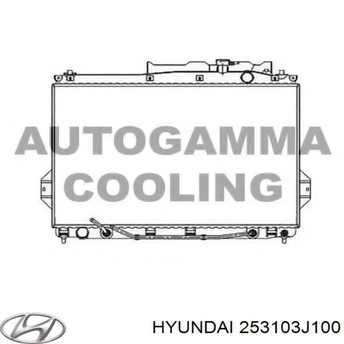 Radiador de esfriamento de motor 253103J100 Hyundai/Kia