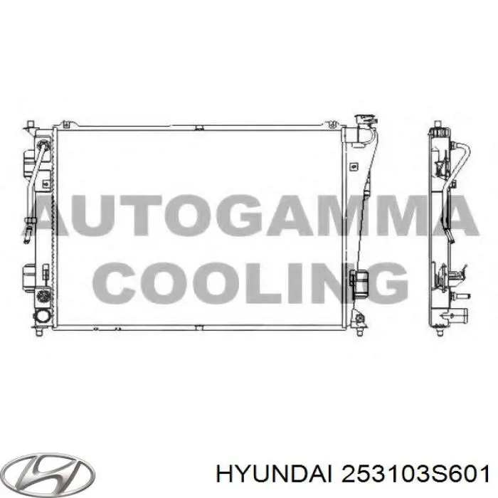 Radiador de esfriamento de motor 253103S601 Hyundai/Kia